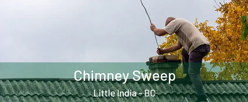  Chimney Sweep Little India - BC