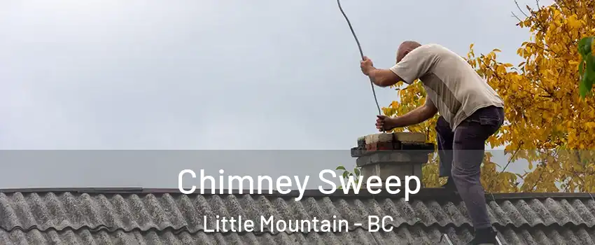  Chimney Sweep Little Mountain - BC