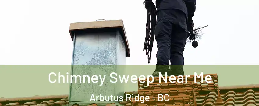  Chimney Sweep Near Me Arbutus Ridge - BC