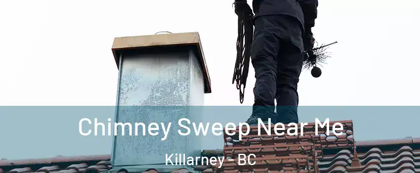  Chimney Sweep Near Me Killarney - BC