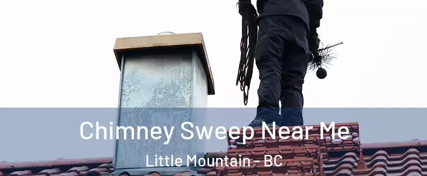  Chimney Sweep Near Me Little Mountain - BC