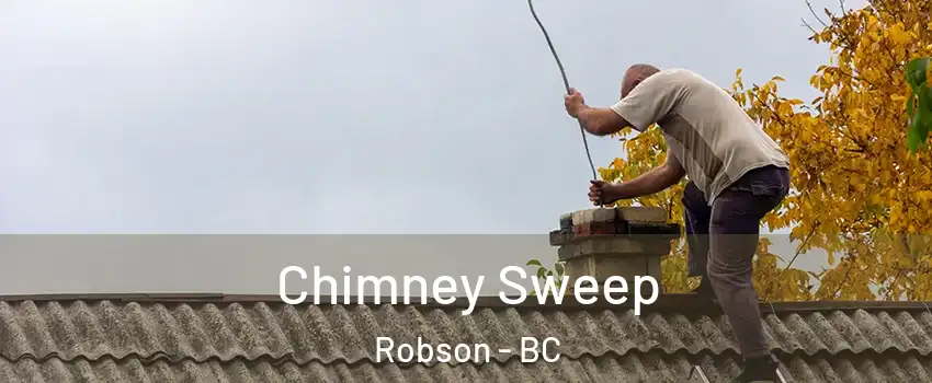  Chimney Sweep Robson - BC