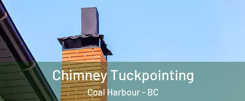  Chimney Tuckpointing Coal Harbour - BC