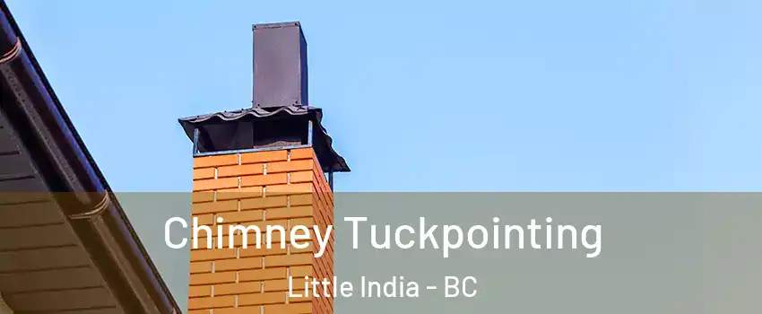  Chimney Tuckpointing Little India - BC