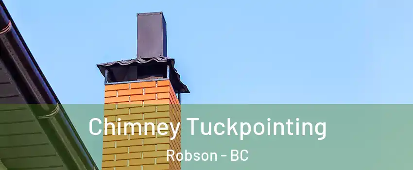  Chimney Tuckpointing Robson - BC