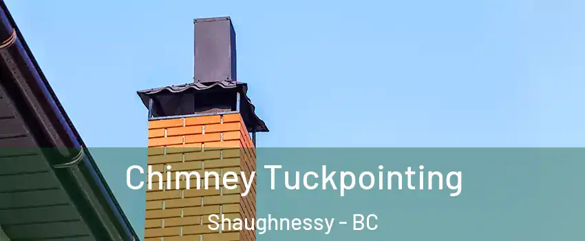  Chimney Tuckpointing Shaughnessy - BC