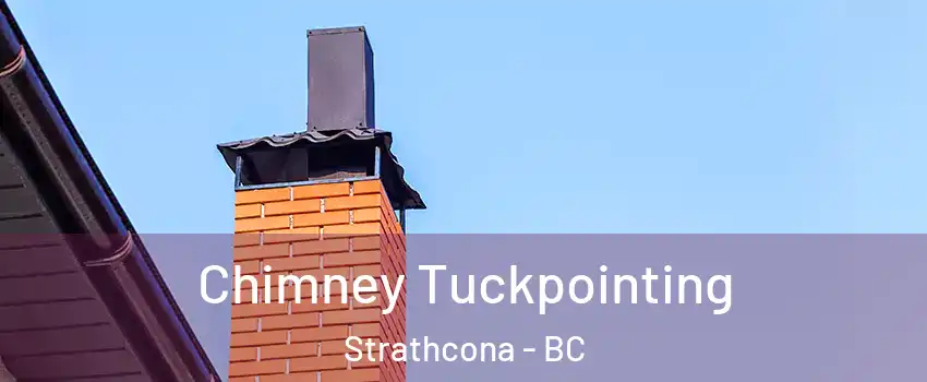 Chimney Tuckpointing Strathcona - BC