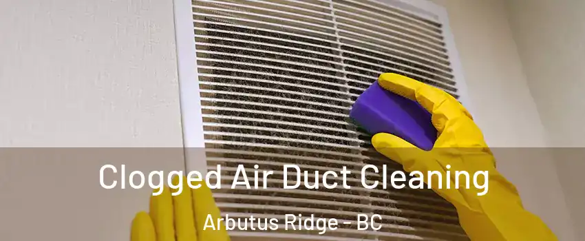  Clogged Air Duct Cleaning Arbutus Ridge - BC
