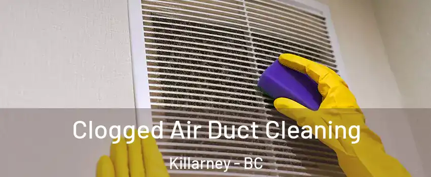  Clogged Air Duct Cleaning Killarney - BC
