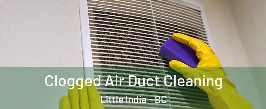  Clogged Air Duct Cleaning Little India - BC