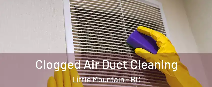  Clogged Air Duct Cleaning Little Mountain - BC
