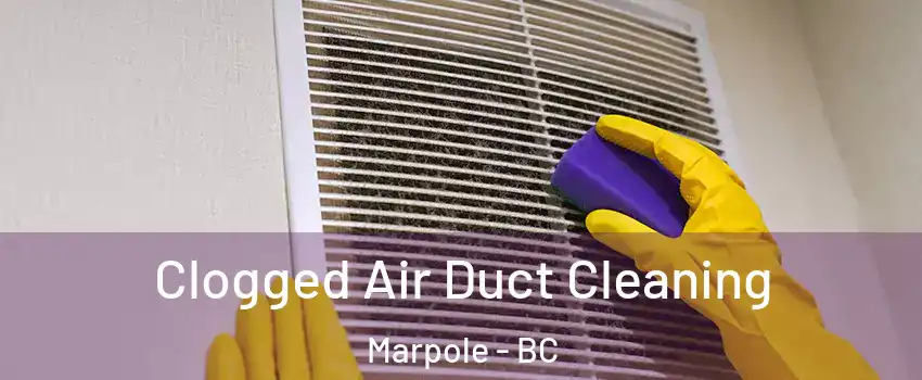  Clogged Air Duct Cleaning Marpole - BC