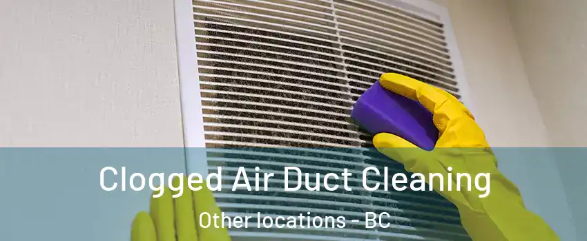  Clogged Air Duct Cleaning Other locations - BC