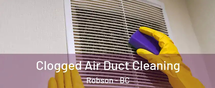  Clogged Air Duct Cleaning Robson - BC