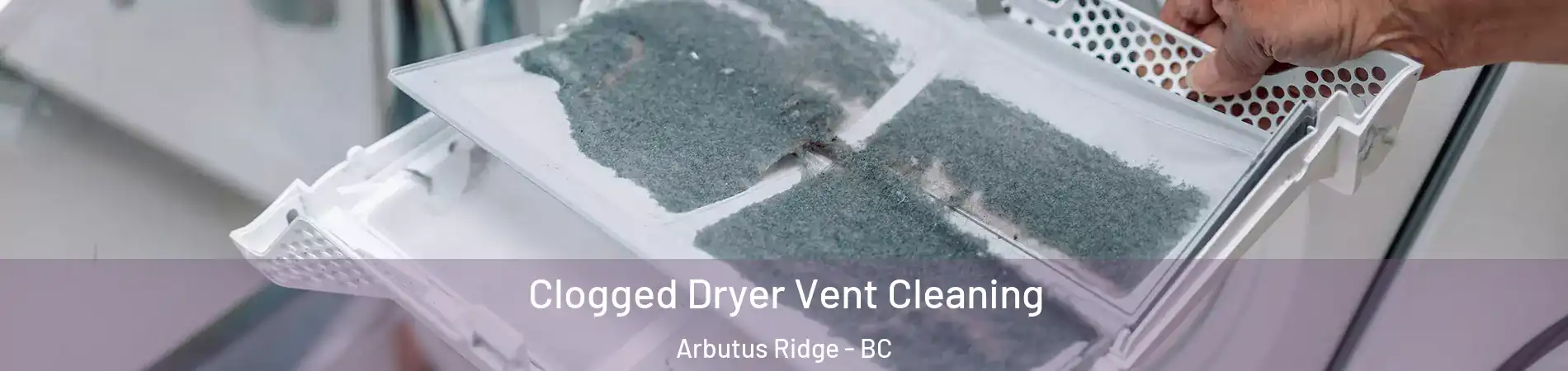 Clogged Dryer Vent Cleaning Arbutus Ridge - BC