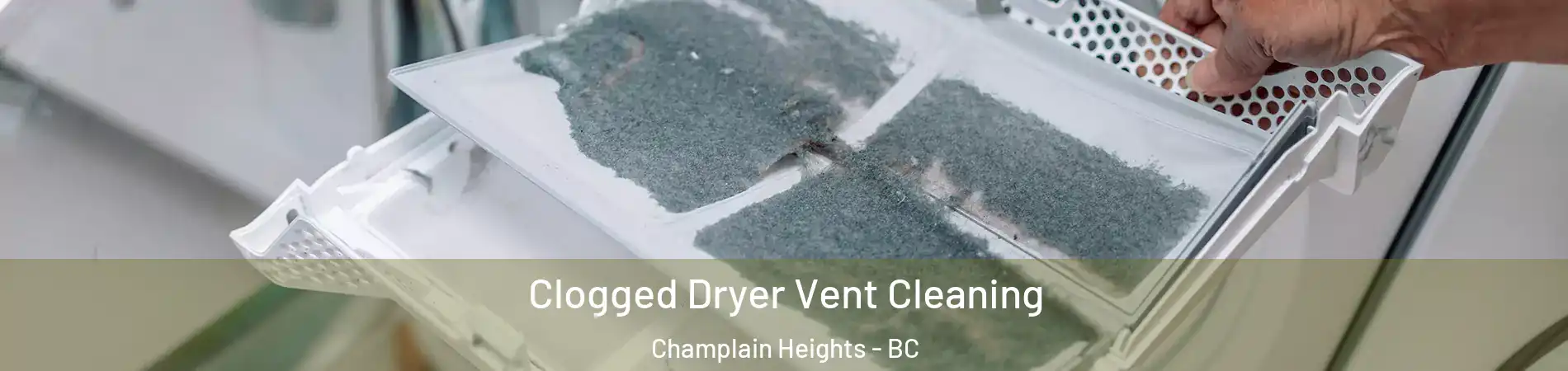  Clogged Dryer Vent Cleaning Champlain Heights - BC