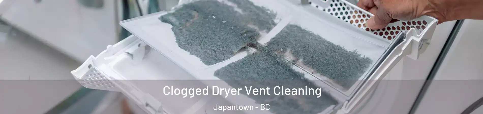 Clogged Dryer Vent Cleaning Japantown - BC