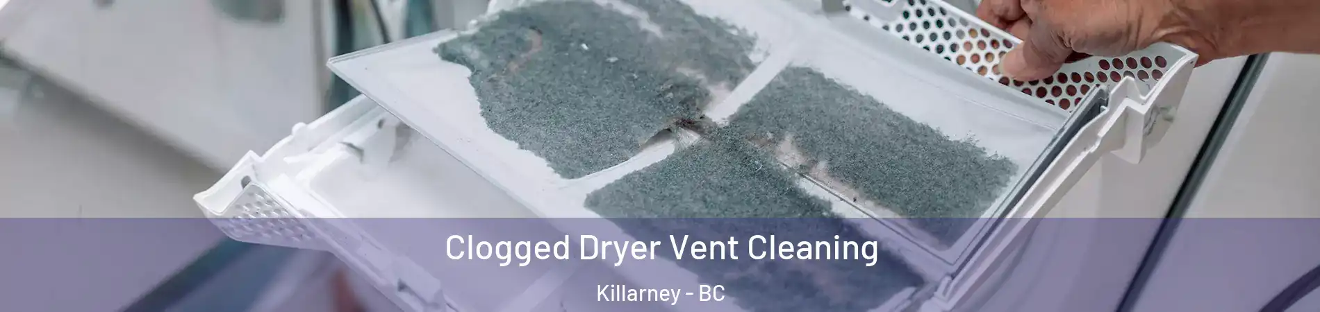  Clogged Dryer Vent Cleaning Killarney - BC