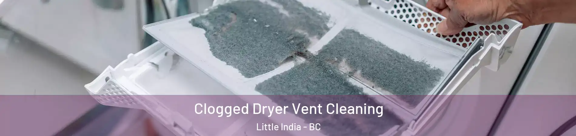  Clogged Dryer Vent Cleaning Little India - BC