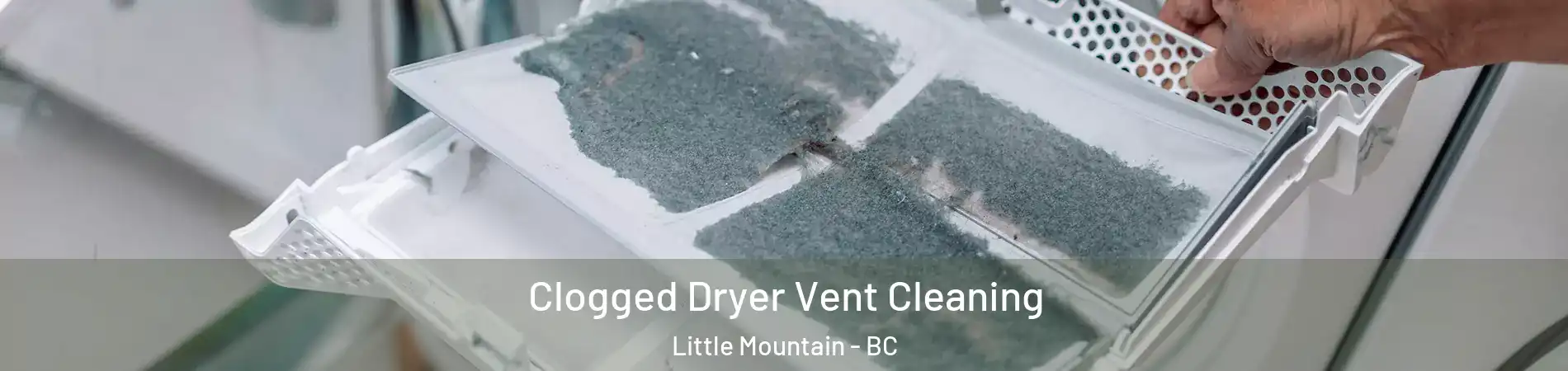  Clogged Dryer Vent Cleaning Little Mountain - BC