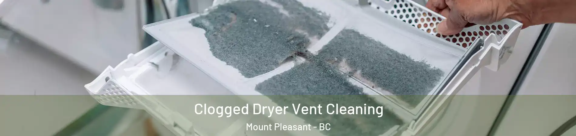  Clogged Dryer Vent Cleaning Mount Pleasant - BC