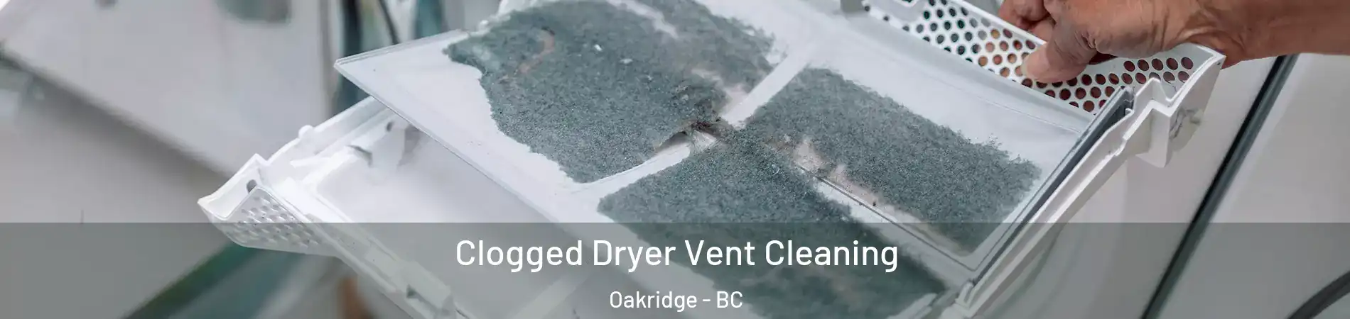  Clogged Dryer Vent Cleaning Oakridge - BC
