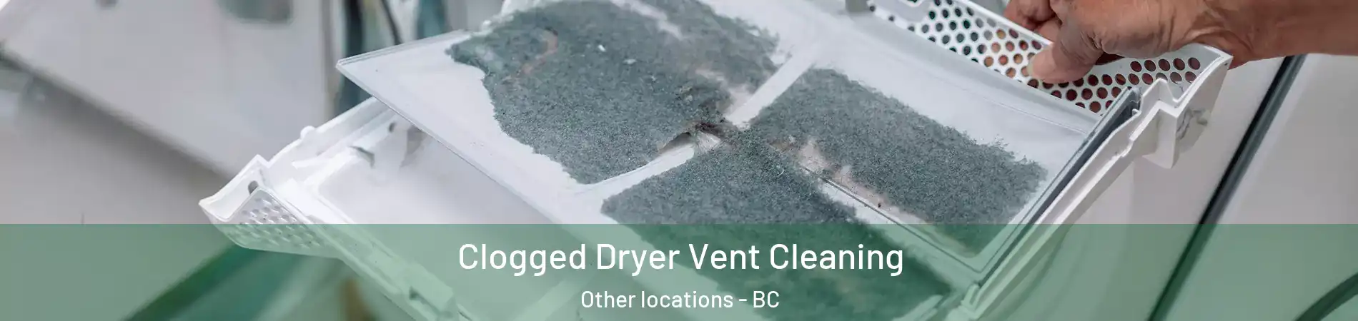  Clogged Dryer Vent Cleaning Other locations - BC