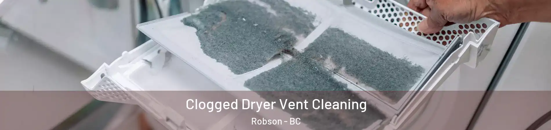  Clogged Dryer Vent Cleaning Robson - BC