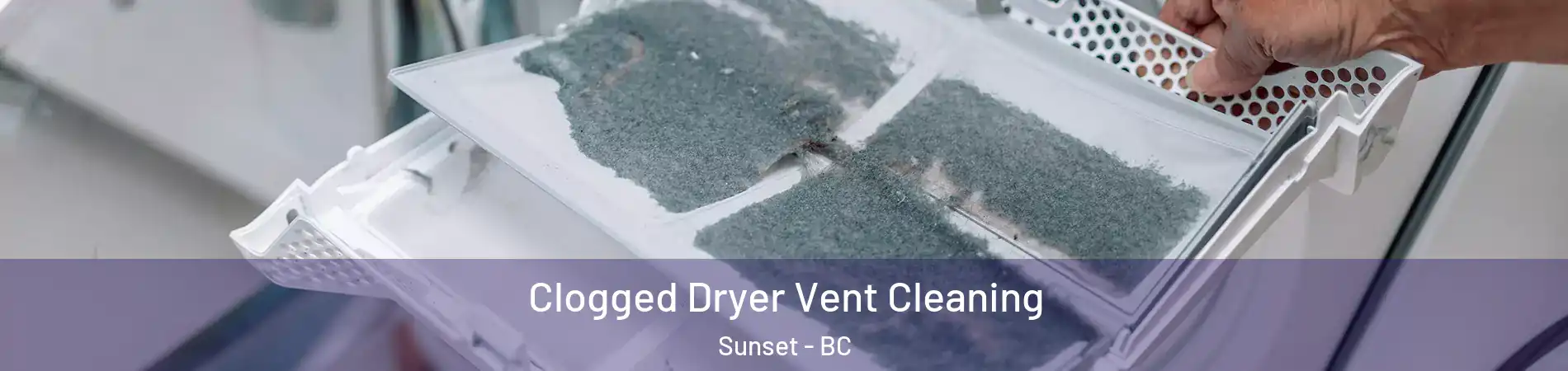  Clogged Dryer Vent Cleaning Sunset - BC