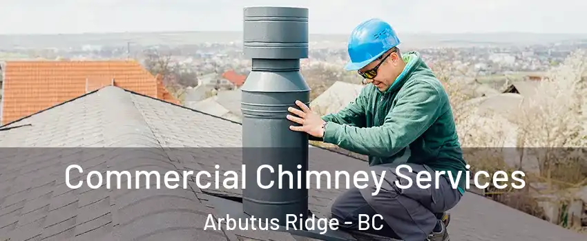  Commercial Chimney Services Arbutus Ridge - BC