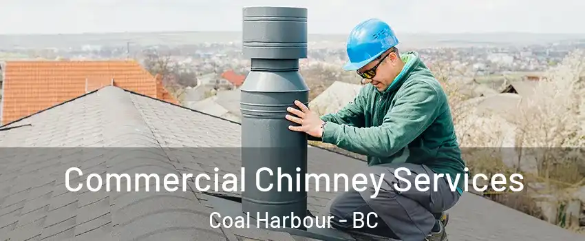  Commercial Chimney Services Coal Harbour - BC
