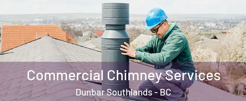  Commercial Chimney Services Dunbar Southlands - BC