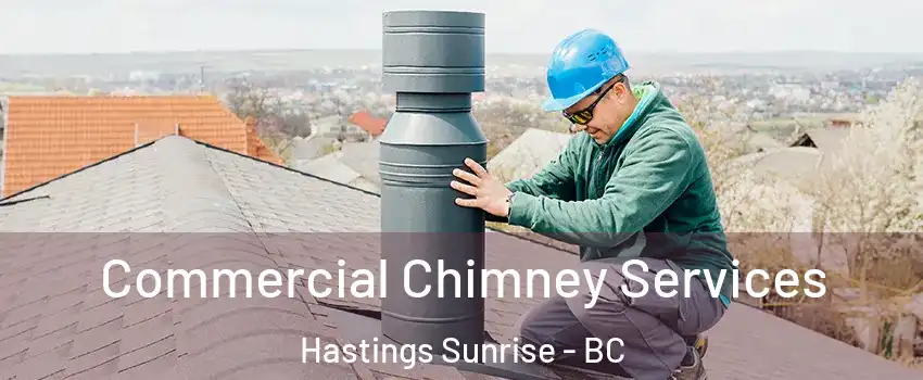  Commercial Chimney Services Hastings Sunrise - BC