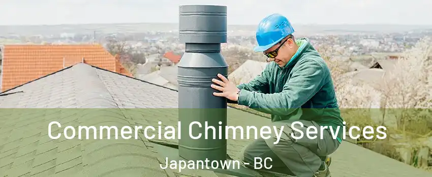  Commercial Chimney Services Japantown - BC