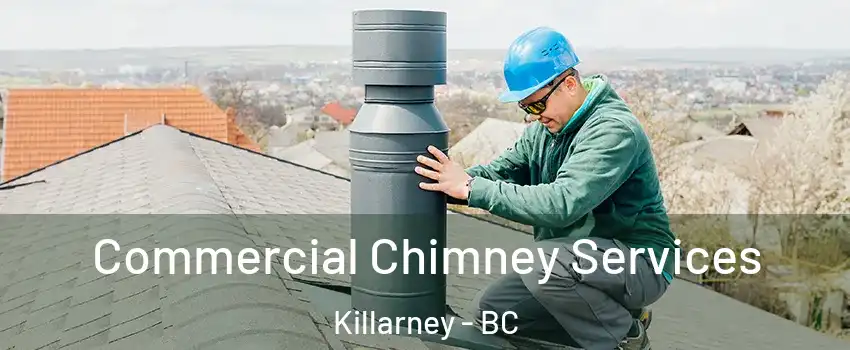  Commercial Chimney Services Killarney - BC
