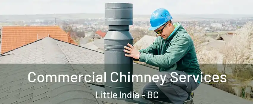  Commercial Chimney Services Little India - BC