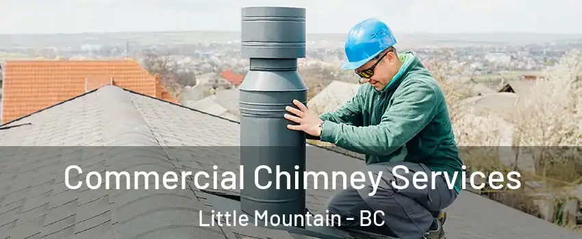  Commercial Chimney Services Little Mountain - BC
