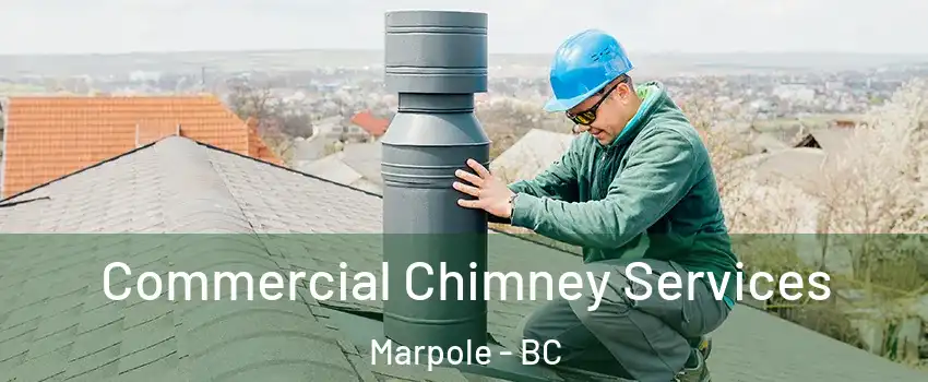  Commercial Chimney Services Marpole - BC
