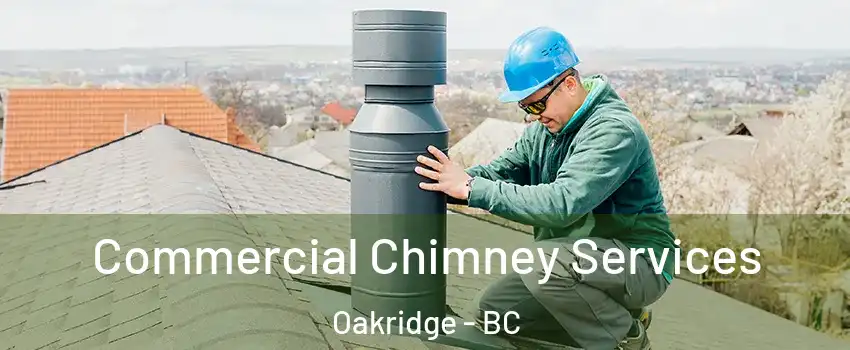  Commercial Chimney Services Oakridge - BC
