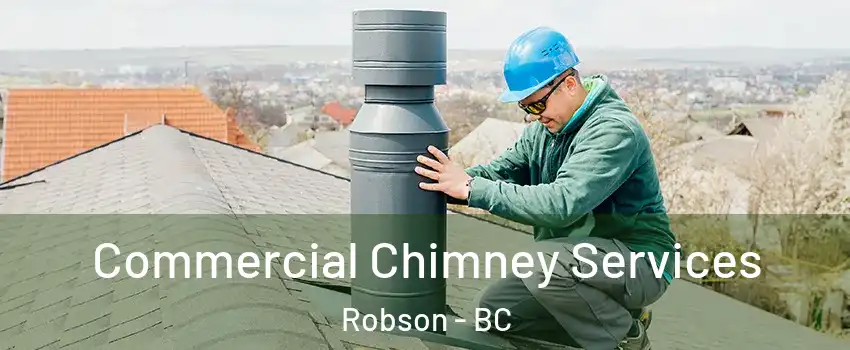  Commercial Chimney Services Robson - BC