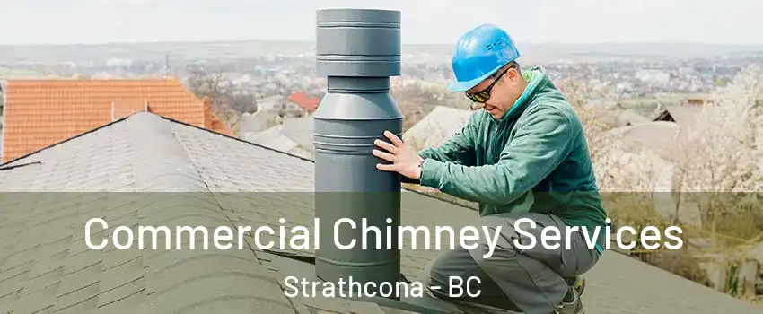  Commercial Chimney Services Strathcona - BC
