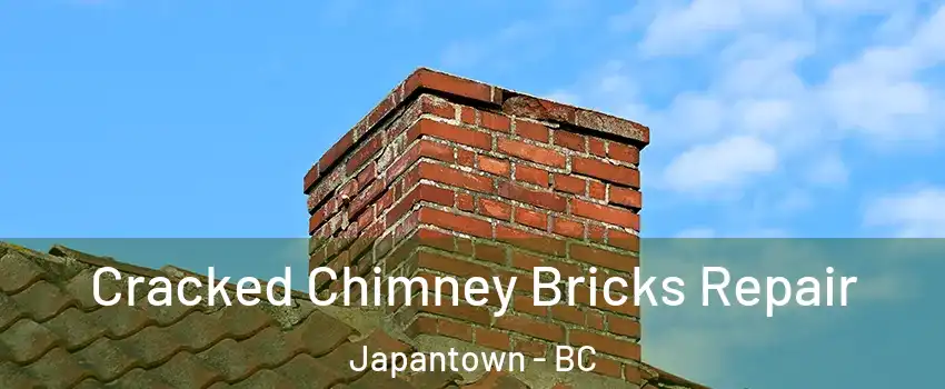  Cracked Chimney Bricks Repair Japantown - BC