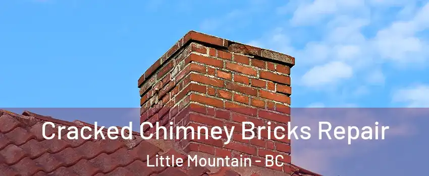  Cracked Chimney Bricks Repair Little Mountain - BC