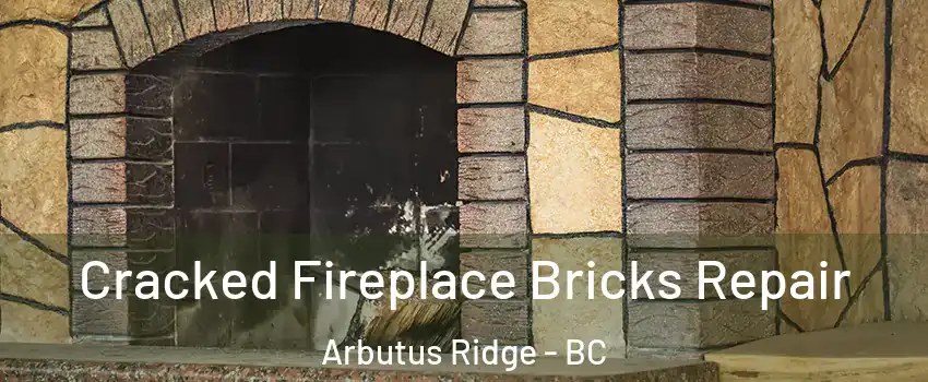  Cracked Fireplace Bricks Repair Arbutus Ridge - BC