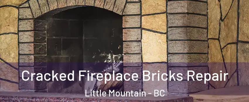  Cracked Fireplace Bricks Repair Little Mountain - BC