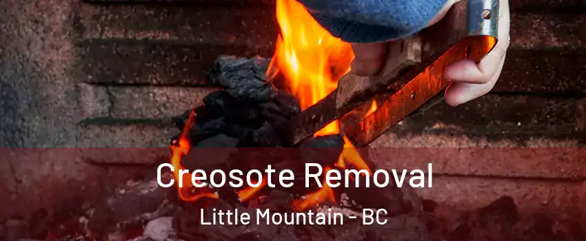  Creosote Removal Little Mountain - BC
