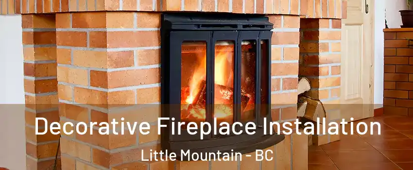  Decorative Fireplace Installation Little Mountain - BC