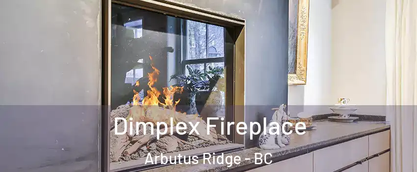  Dimplex Fireplace Arbutus Ridge - BC