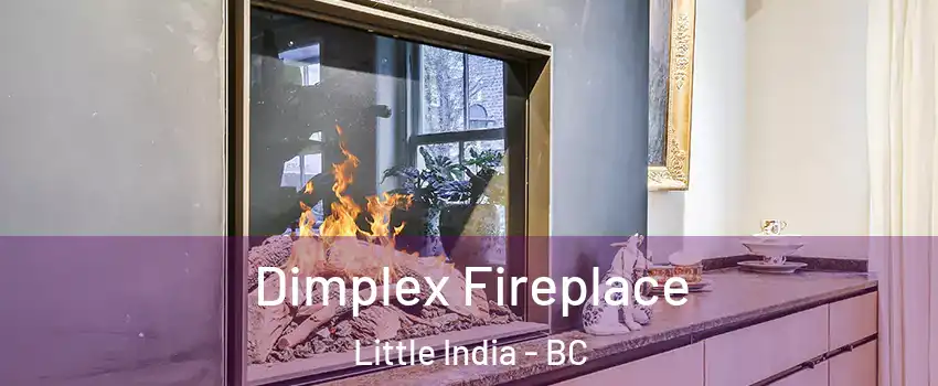  Dimplex Fireplace Little India - BC
