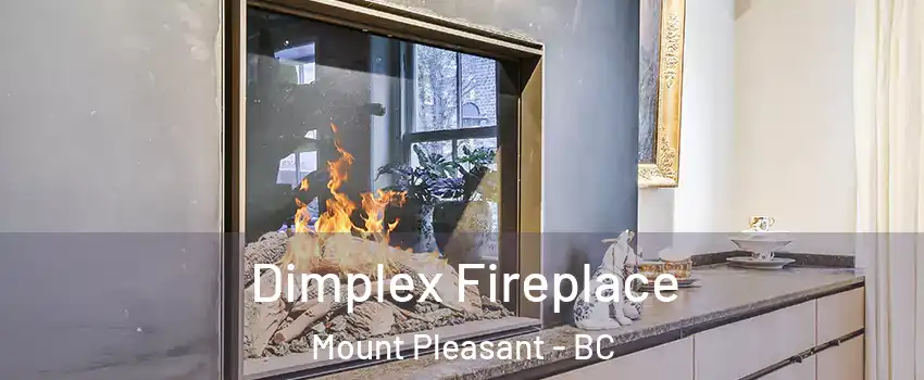  Dimplex Fireplace Mount Pleasant - BC